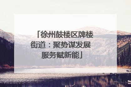 徐州鼓楼区牌楼街道：聚势谋发展 服务赋新能