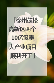 徐州鼓楼高新区两个10亿级重大产业项目顺利开工