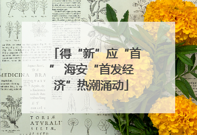 得“新”应“首” 海安“首发经济”热潮涌动