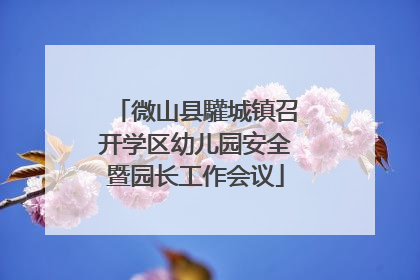 微山县驩城镇召开学区幼儿园安全暨园长工作会议