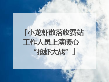 小龙虾散落收费站 工作人员上演暖心“抢虾大战”