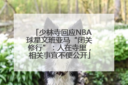 少林寺回应NBA球星文班亚马“闭关修行”：人在寺里，相关事宜不便公开