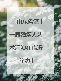 山东省第十一届残疾人艺术汇演在临沂举办