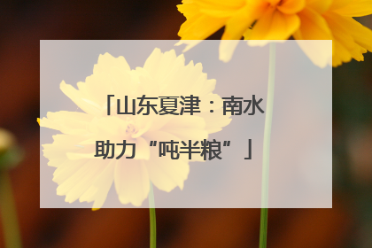 山东夏津：南水助力“吨半粮”