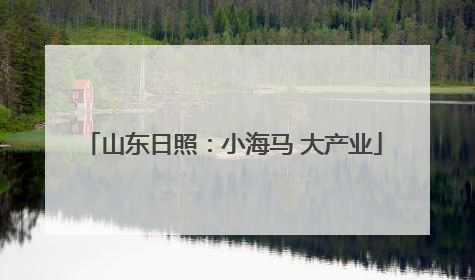 山东日照：小海马 大产业