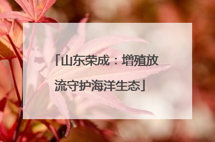 山东荣成：增殖放流守护海洋生态