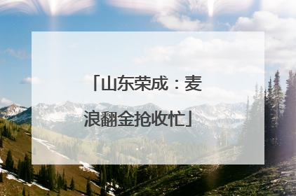 山东荣成：麦浪翻金抢收忙