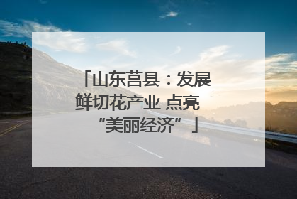 山东莒县：发展鲜切花产业 点亮“美丽经济”