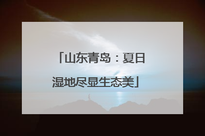 山东青岛：夏日湿地尽显生态美