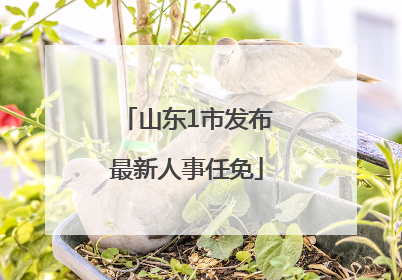 山东1市发布最新人事任免