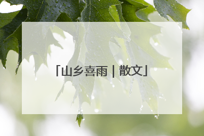 山乡喜雨｜散文
