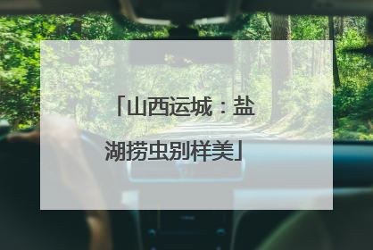 山西运城：盐湖捞虫别样美