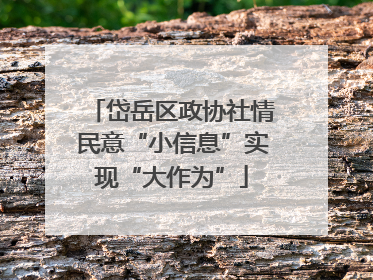 岱岳区政协社情民意“小信息”实现“大作为”