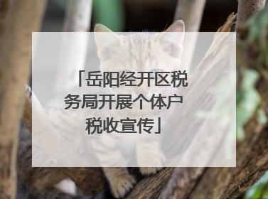 岳阳经开区税务局开展个体户税收宣传