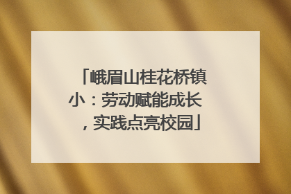 峨眉山桂花桥镇小：劳动赋能成长，实践点亮校园