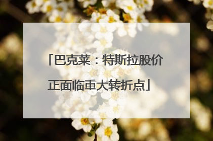 巴克莱：特斯拉股价正面临重大转折点