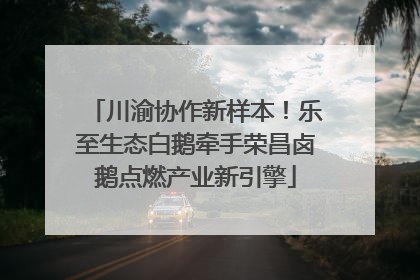 川渝协作新样本！乐至生态白鹅牵手荣昌卤鹅点燃产业新引擎