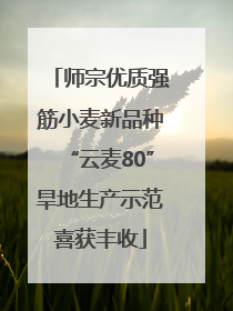 师宗优质强筋小麦新品种“云麦80”旱地生产示范喜获丰收