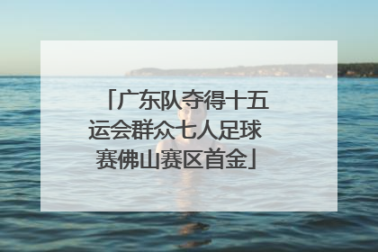 广东队夺得十五运会群众七人足球赛佛山赛区首金