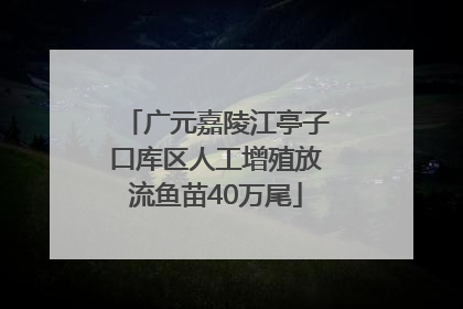 广元嘉陵江亭子口库区人工增殖放流鱼苗40万尾