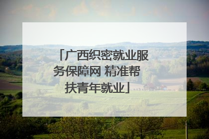 广西织密就业服务保障网 精准帮扶青年就业