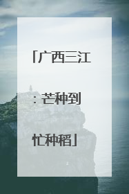 广西三江：芒种到 忙种稻