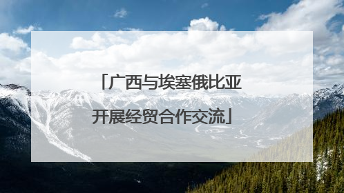 广西与埃塞俄比亚开展经贸合作交流