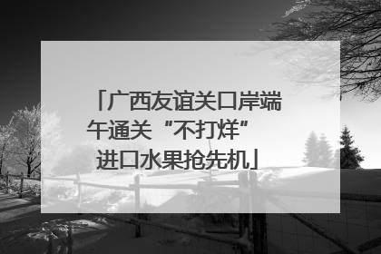 广西友谊关口岸端午通关“不打烊” 进口水果抢先机