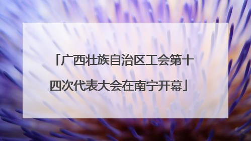 广西壮族自治区工会第十四次代表大会在南宁开幕