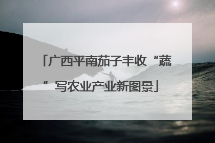 广西平南茄子丰收“蔬”写农业产业新图景