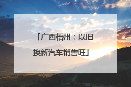 广西梧州：以旧换新汽车销售旺