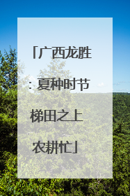 广西龙胜：夏种时节 梯田之上农耕忙