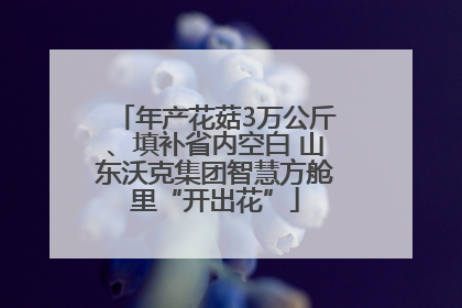年产花菇3万公斤、填补省内空白 山东沃克集团智慧方舱里“开出花”