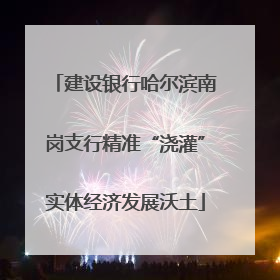 建设银行哈尔滨南岗支行精准“浇灌”实体经济发展沃土