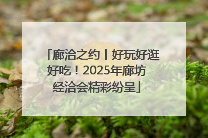 廊洽之约丨好玩好逛好吃！2025年廊坊经洽会精彩纷呈