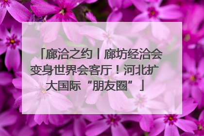 廊洽之约丨廊坊经洽会变身世界会客厅！河北扩大国际“朋友圈”