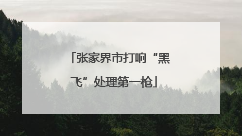 张家界市打响“黑飞”处理第一枪