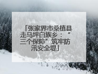 张家界市桑植县走马坪白族乡：“三个保障”筑牢防汛安全堤