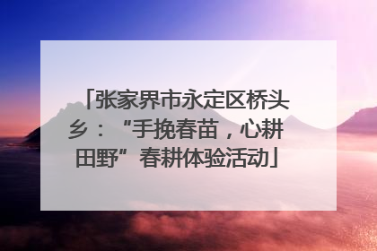 张家界市永定区桥头乡：“手挽春苗，心耕田野”春耕体验活动