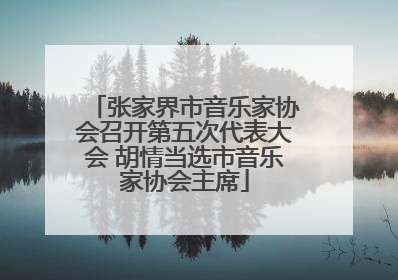 张家界市音乐家协会召开第五次代表大会 胡情当选市音乐家协会主席
