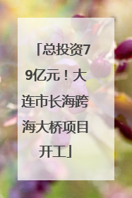 总投资79亿元！大连市长海跨海大桥项目开工