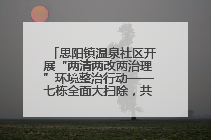思阳镇温泉社区开展“两清两改两治理”环境整治行动——七栋全面大扫除，共建洁净家园