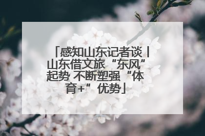感知山东记者谈丨山东借文旅“东风”起势 不断塑强“体育+”优势