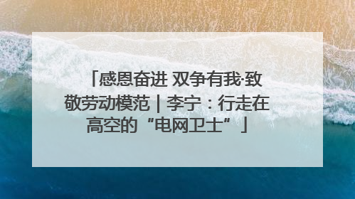 感恩奋进 双争有我·致敬劳动模范｜李宁：行走在高空的“电网卫士”