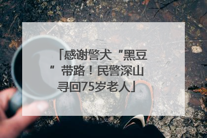 感谢警犬“黑豆”带路！民警深山寻回75岁老人