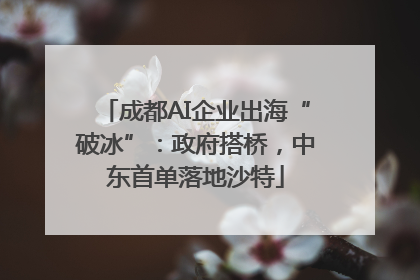 成都AI企业出海“破冰”：政府搭桥，中东首单落地沙特