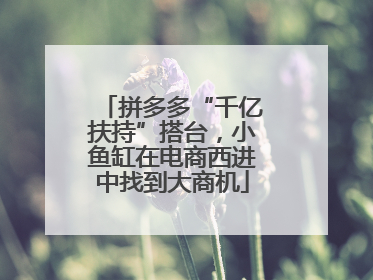拼多多“千亿扶持”搭台，小鱼缸在电商西进中找到大商机