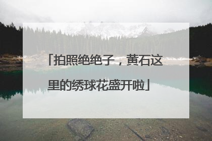 拍照绝绝子，黄石这里的绣球花盛开啦