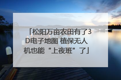 松阳万亩农田有了3D电子地图 植保无人机也能“上夜班”了