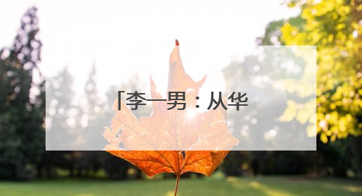 李一男：从华为少帅到锂电出行革新者